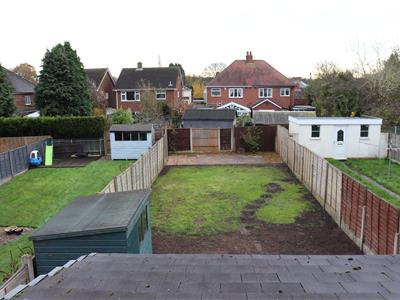 Picture 14